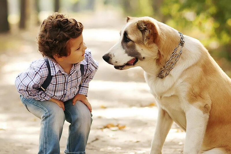Enfant avec un chien