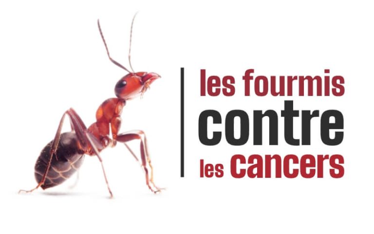 Dépistage du cancer : une étude de l’Inserm montre l’efficacité des fourmis