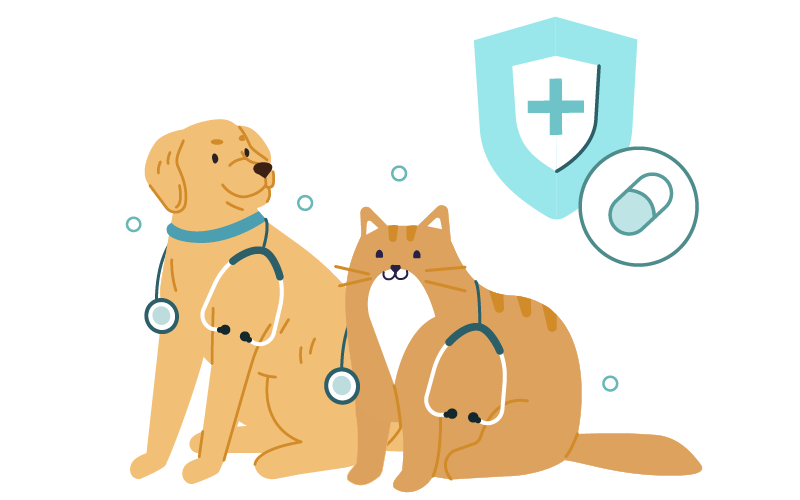 Médiation animale, droit de visite… quelle place pour les animaux en milieu hospitalier ?